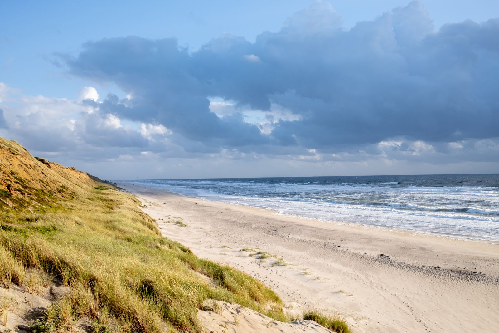 Düne und Strand an der Nordsee